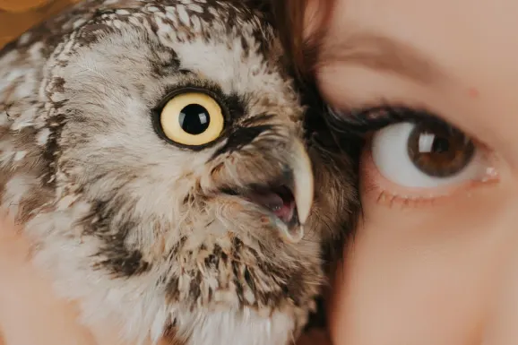 Kasyno Lucky 31 Wsparcie